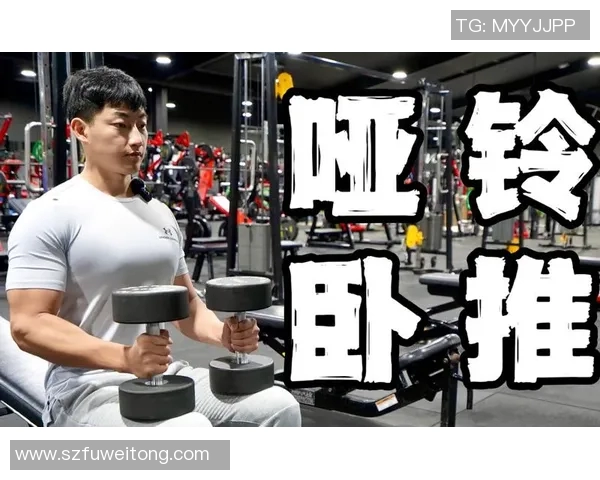 哑铃扩胸训练方法揭秘助你塑造完美胸部线条与增强肌肉力量