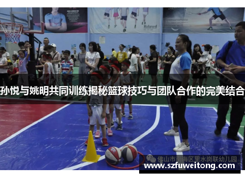 孙悦与姚明共同训练揭秘篮球技巧与团队合作的完美结合